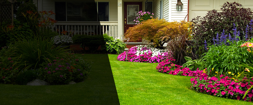 Carlsbad Landscapers